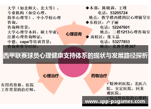 西甲联赛球员心理健康支持体系的现状与发展路径探析